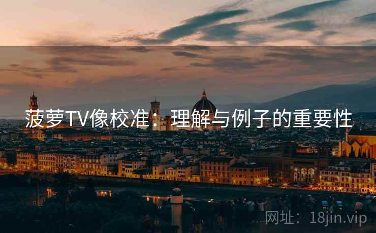 菠萝TV像校准：理解与例子的重要性