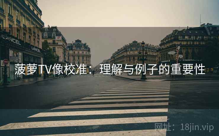 菠萝TV像校准：理解与例子的重要性