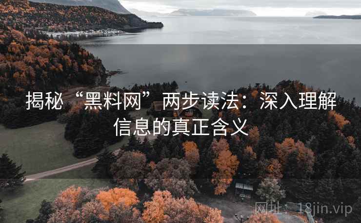 揭秘“黑料网”两步读法：深入理解信息的真正含义