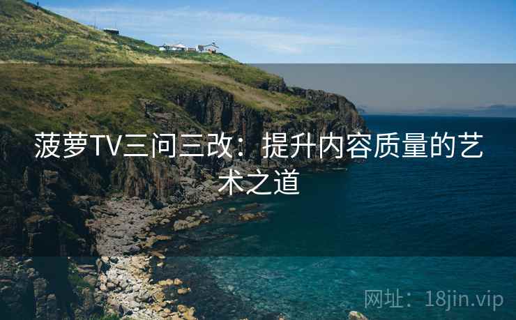 菠萝TV三问三改：提升内容质量的艺术之道