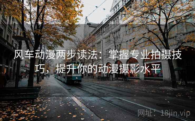 风车动漫两步读法：掌握专业拍摄技巧，提升你的动漫摄影水平